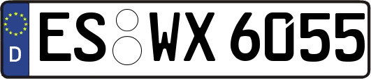 ES-WX6055