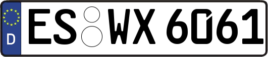ES-WX6061