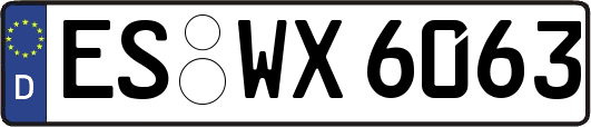ES-WX6063