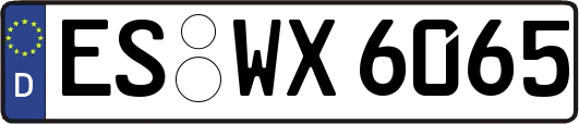 ES-WX6065
