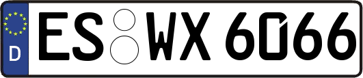 ES-WX6066