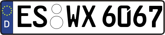 ES-WX6067