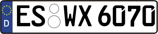 ES-WX6070