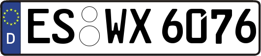 ES-WX6076