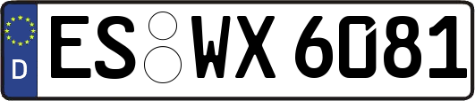 ES-WX6081