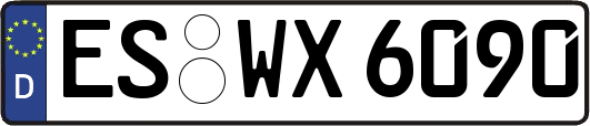 ES-WX6090