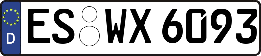 ES-WX6093