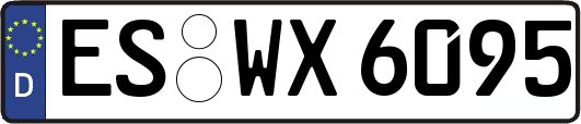 ES-WX6095