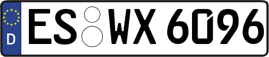 ES-WX6096