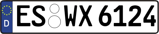 ES-WX6124