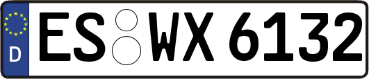ES-WX6132