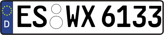 ES-WX6133