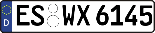 ES-WX6145