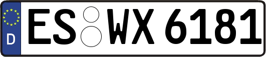 ES-WX6181