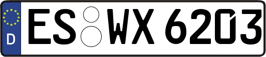ES-WX6203