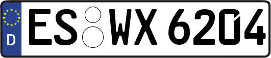 ES-WX6204