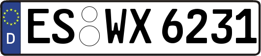 ES-WX6231