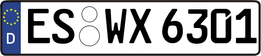 ES-WX6301