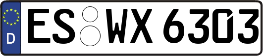 ES-WX6303