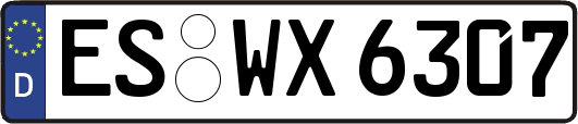 ES-WX6307