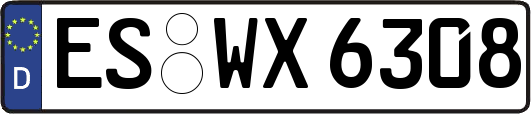ES-WX6308