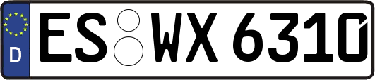 ES-WX6310