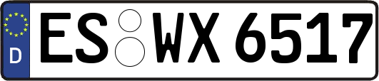 ES-WX6517