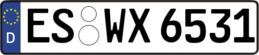 ES-WX6531
