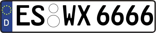 ES-WX6666