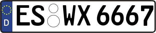 ES-WX6667