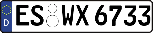 ES-WX6733