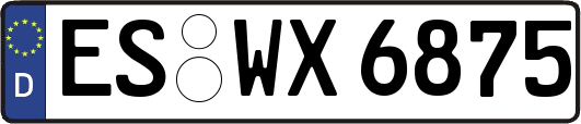 ES-WX6875
