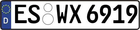 ES-WX6919