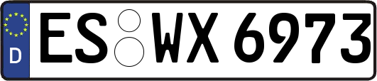 ES-WX6973