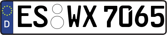 ES-WX7065
