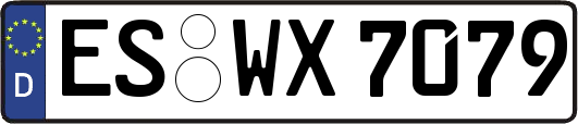 ES-WX7079