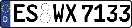 ES-WX7133
