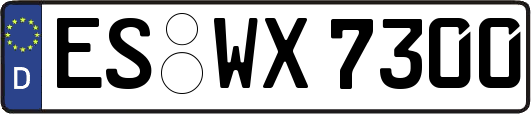 ES-WX7300
