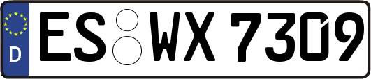 ES-WX7309