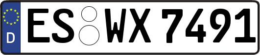 ES-WX7491