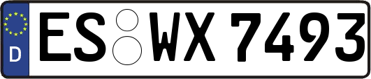 ES-WX7493