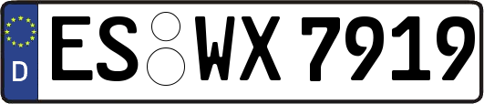 ES-WX7919
