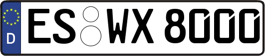 ES-WX8000