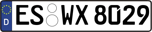 ES-WX8029