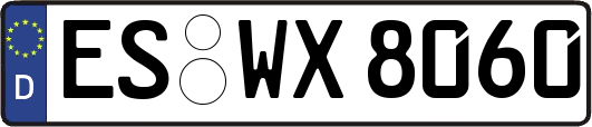ES-WX8060