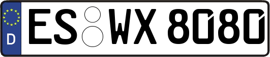 ES-WX8080