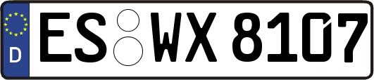 ES-WX8107