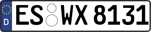 ES-WX8131