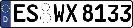 ES-WX8133