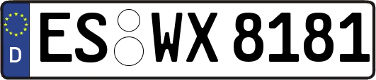 ES-WX8181